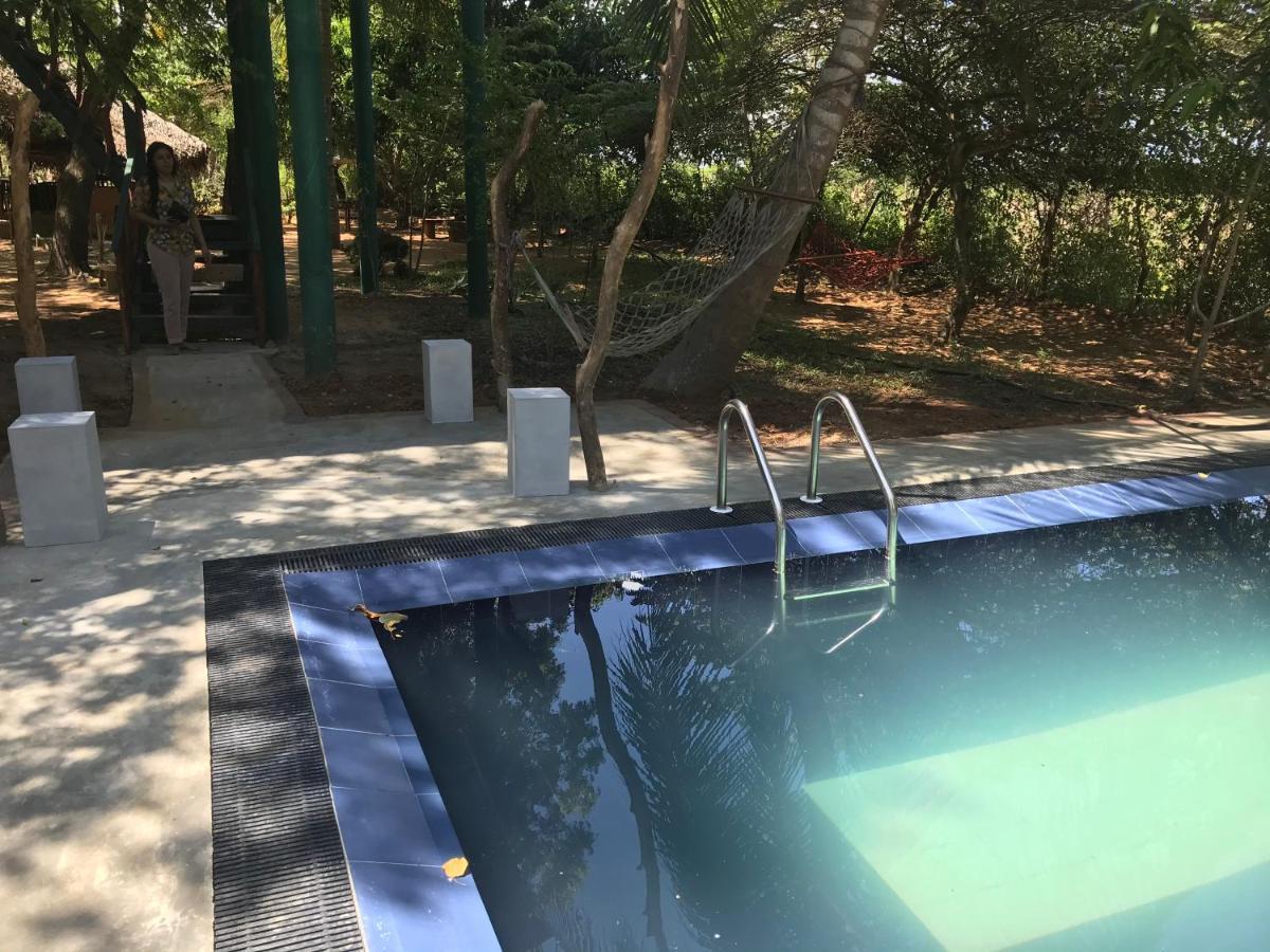 Yala Eco Tree House New Hotel Тисамахарама Екстериор снимка