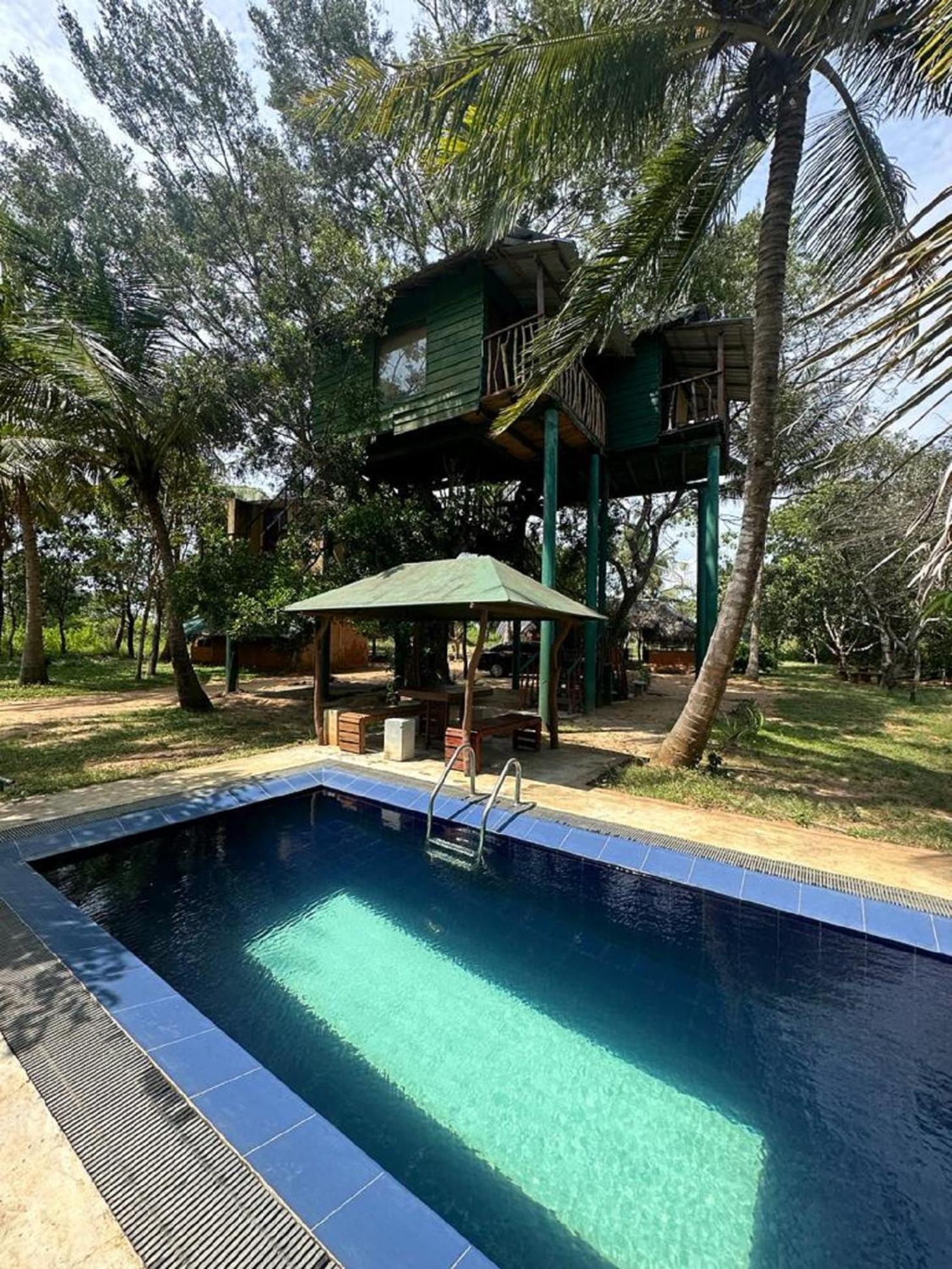 Yala Eco Tree House New Hotel Тисамахарама Екстериор снимка