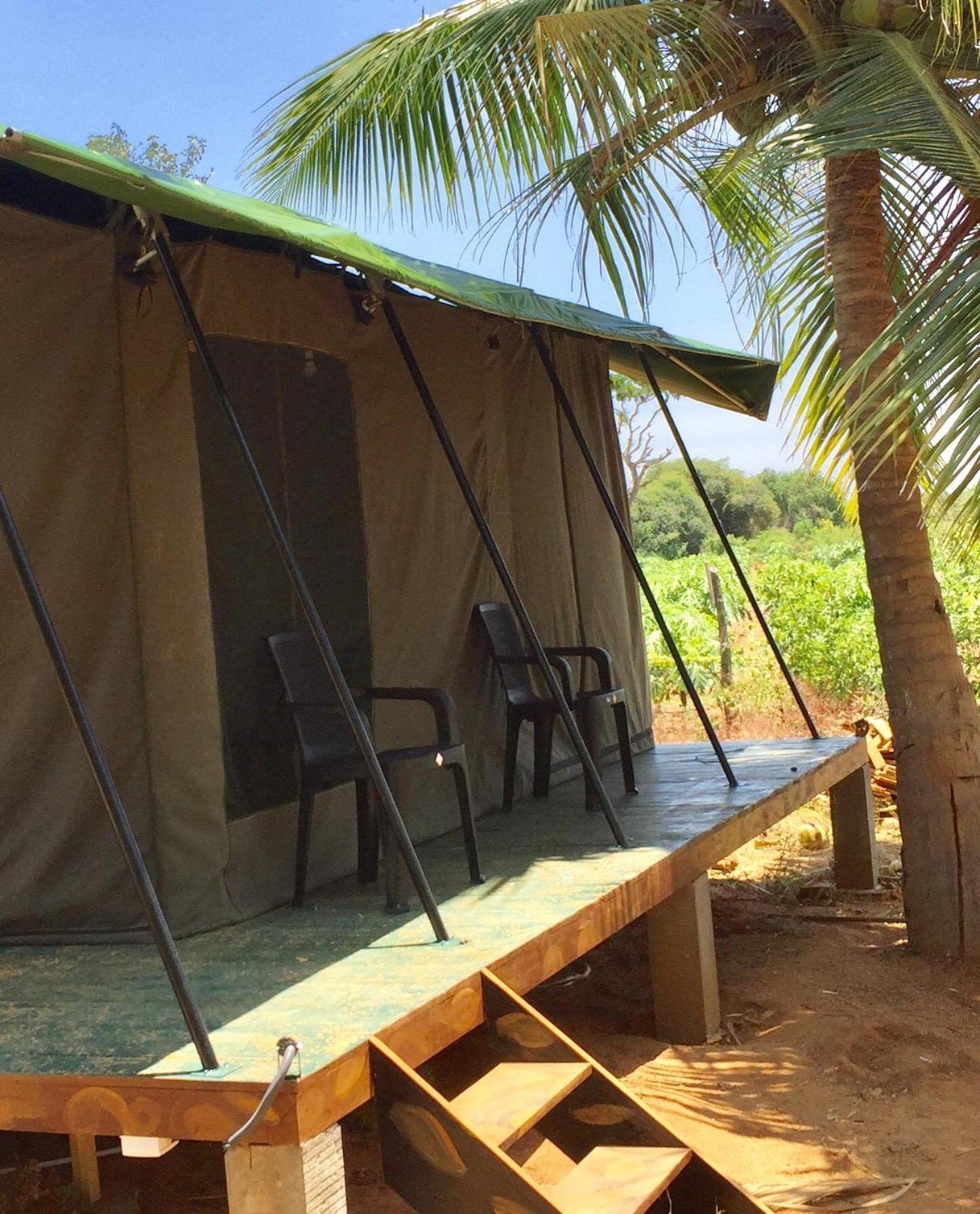 Yala Eco Tree House New Hotel Тисамахарама Екстериор снимка