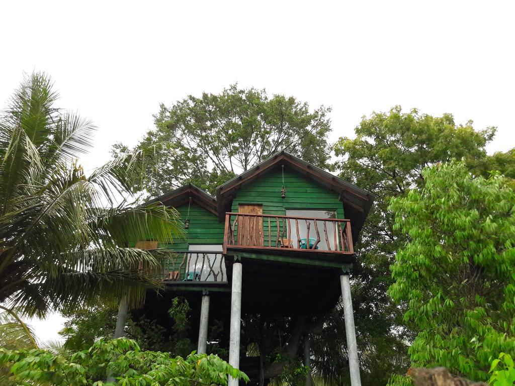 Yala Eco Tree House New Hotel Тисамахарама Екстериор снимка