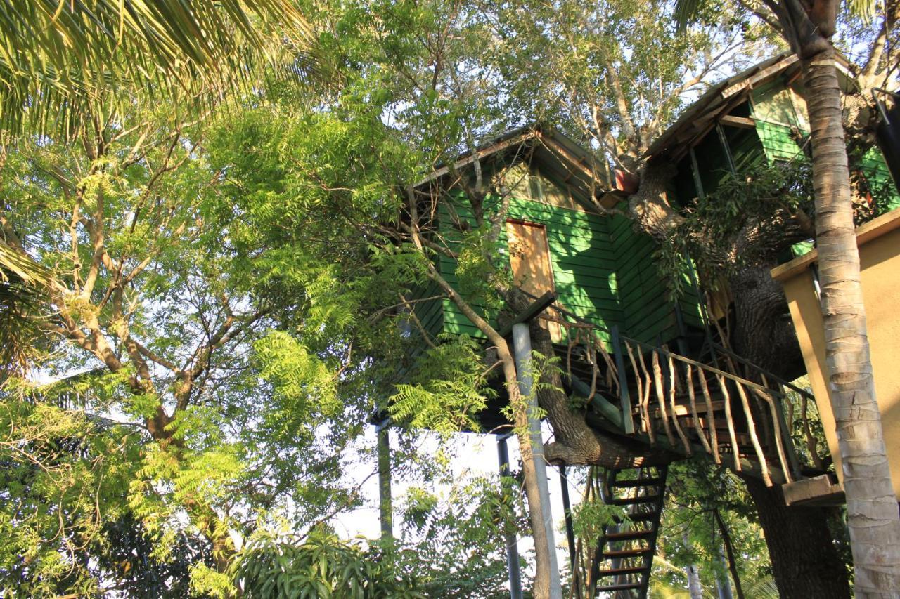 Yala Eco Tree House New Hotel Тисамахарама Екстериор снимка