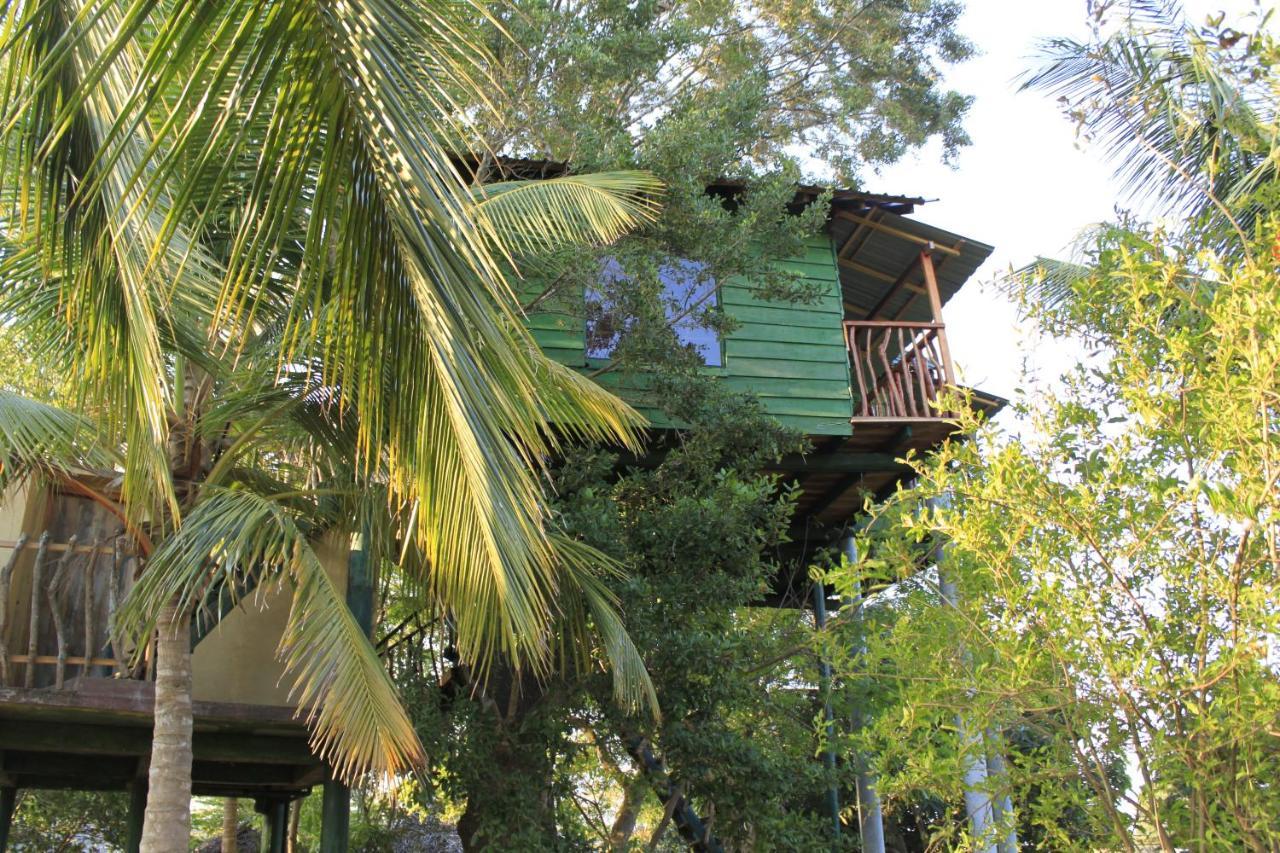 Yala Eco Tree House New Hotel Тисамахарама Екстериор снимка