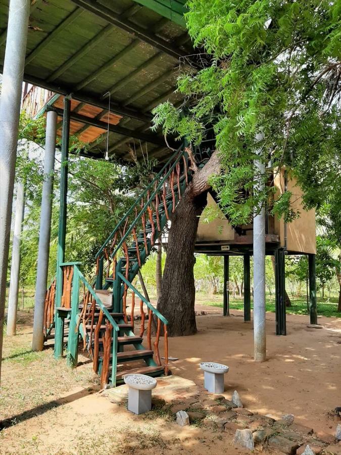Yala Eco Tree House New Hotel Тисамахарама Екстериор снимка
