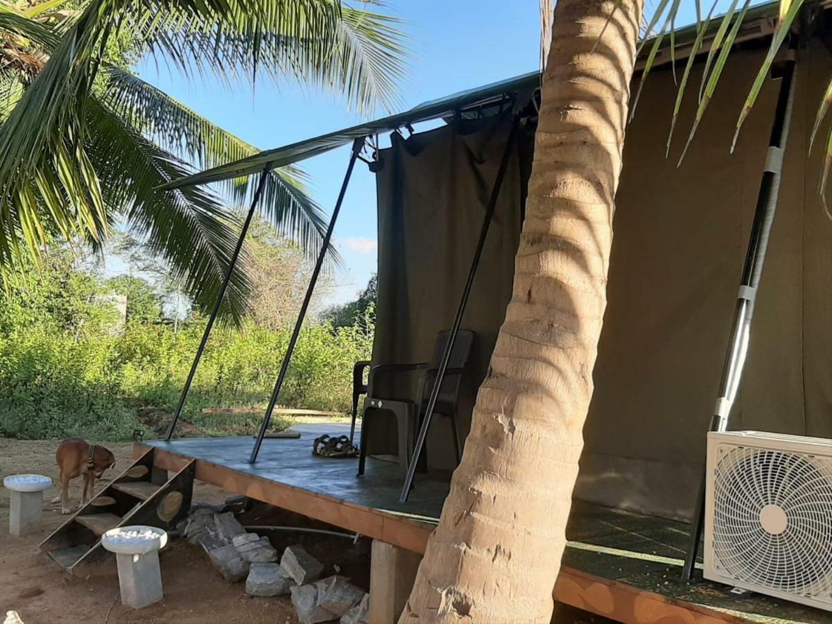 Yala Eco Tree House New Hotel Тисамахарама Екстериор снимка