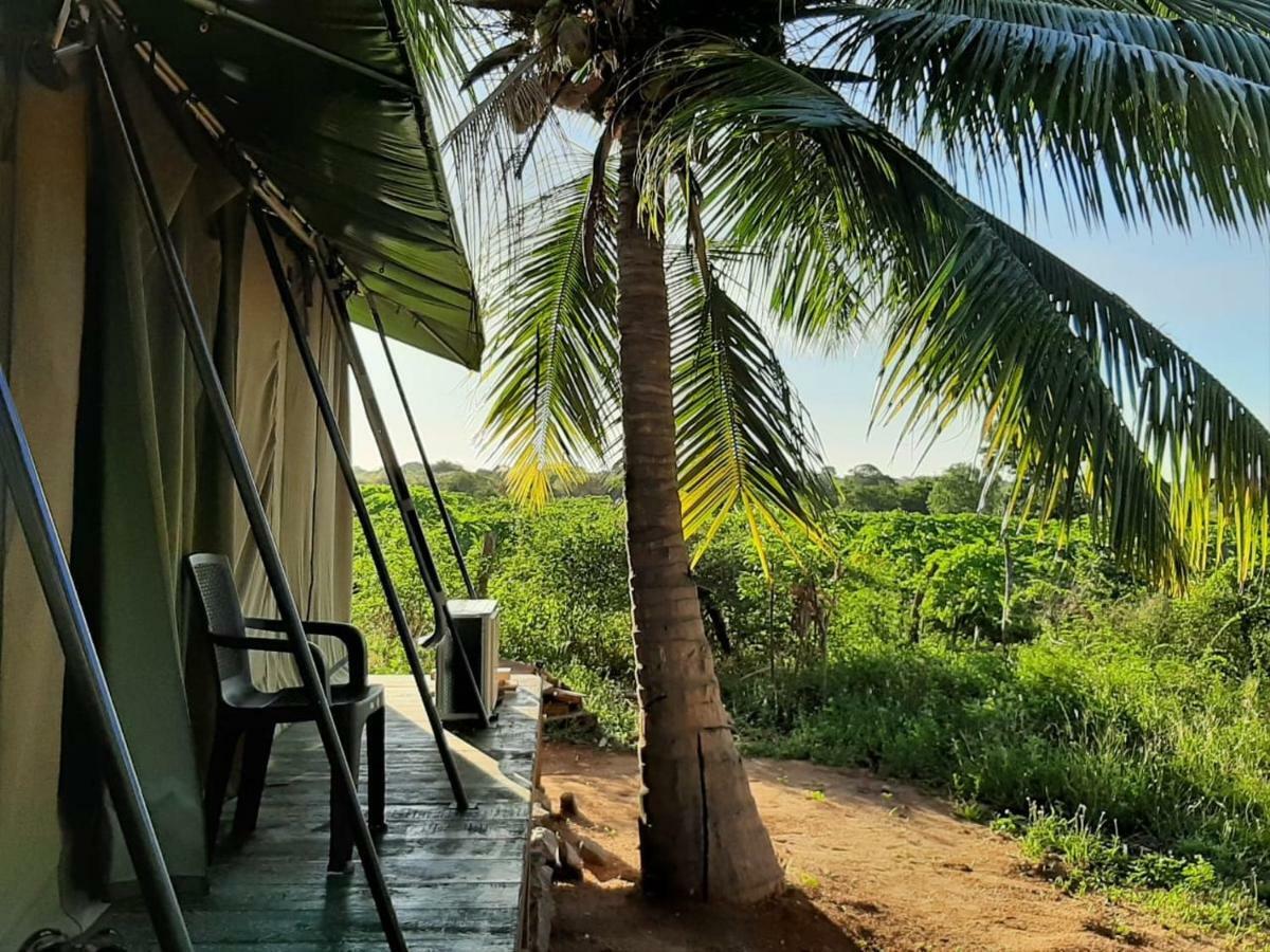 Yala Eco Tree House New Hotel Тисамахарама Екстериор снимка